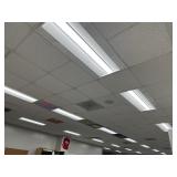 Ceiling tiles room 306