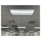 All ceiling lights Rm 201