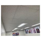 RM 212 all ceiling tiles