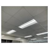 RM 300 all ceiling tiles