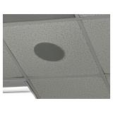 Ceiling speakers in room 301