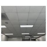 Rm 301 all ceiling tiles