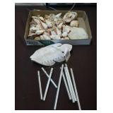 Fish wind chime & shells