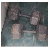 Pair of 50 pound weights