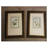 2 framed hummingbird prints