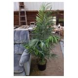 Artificial potted palm