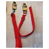Red 22" Dog Collar & 4