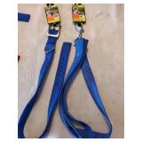 24" Blue Dog Collar & 4