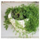 3 Concrete Flower pots