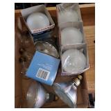 Flood Light Bulbs