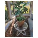 Plastic Table Glass Top & Artificial Tree