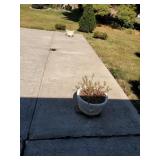 2 Concrete Flower Pots