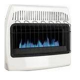 DYNA-GLO 30K BTU Blue Flame Vent Free Dual Fuel Wr