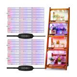 New Grow Lights for Indoor Plants with Full