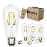Edison Bulbs 60 Watt Led, Led Edison Bulb,