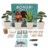 Envy Prime Bonsai Tree Starter Kit - 4-Seed