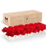 New DaizySight Clear Flower Vase for Centerpiece