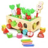 Toddler Montessori Toys for Kids, Wooden