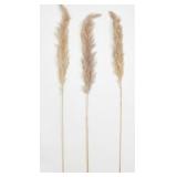 New 36in Tall Natural Glow Stick Pampas Grass4pk.