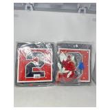 New (2) Graduation Decorations Class of