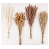 New Dried Pampas Grass Decor, 100 Stems Pampas