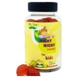 New Melatonin Gummies for Kids | 60 Gummies | 2