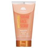 New Tree Hut Pineapple & Papaya Brightening Face
