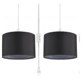 New 2 Pack Plug in Pendant Light, Hanging Light