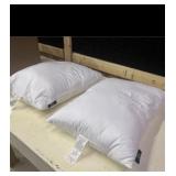 Lot of two Serta 20x28 inch pillows plush