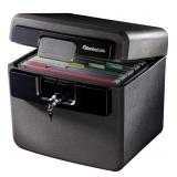 New SentrySafe Black Fireproof and Waterproof