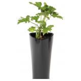 New XBrand Tall Self Watering Indoor Outdoor for