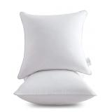 Leeden 20 x 20 Pillow Inserts (Set of 2) - Throw