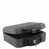 SentrySafe Fireproof and Waterproof Safe, Black