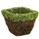 Fresh green three pack Super moss. New