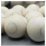 New (Lot of 2) 25 X Less Lethal .68 Cal Balls 10