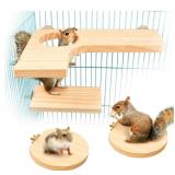 Roundler Squirrel Gerbil Chinchilla and Dwarf