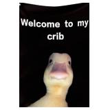 New Lot of 3 Welcome to My Crib Flag 2x3 Feet