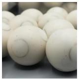 New (Lot of 2) 25 X Less Lethal .68 Cal Balls 10