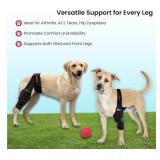 Dog Knee Brace for Torn ACL/CCL & Hind Leg