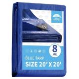 RAINDEWAY 8 Mil Thick, 20x20 Feet Large Tarps,UV