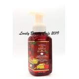Bath & Body Works / Pumpkin Apple / Foaming Hand S