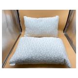 $180 retail Coop Home Goods 2pack pillows