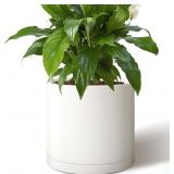 Giraffe Creation 14-Inch Round Cylinder Plant Pot,
