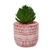Artificial Succulent with Terra Cotta Planter, Ass