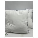 Lot of 2, Size 18 x 18 Inches Throw Pillows Extra