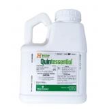 Quintessential- Quinclorac with H-Value Technology