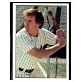 Vintage 1976 SSPC #437 Graig Nettles New York Yank