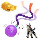 Cat Toys Interactive Electric Cat Ball in Mice Hol