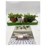 Lot Of 8 Standing Succulent & (1) Wall Decor