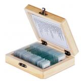 AmScope PS25 Prepared Microscope Slide Set for Bas